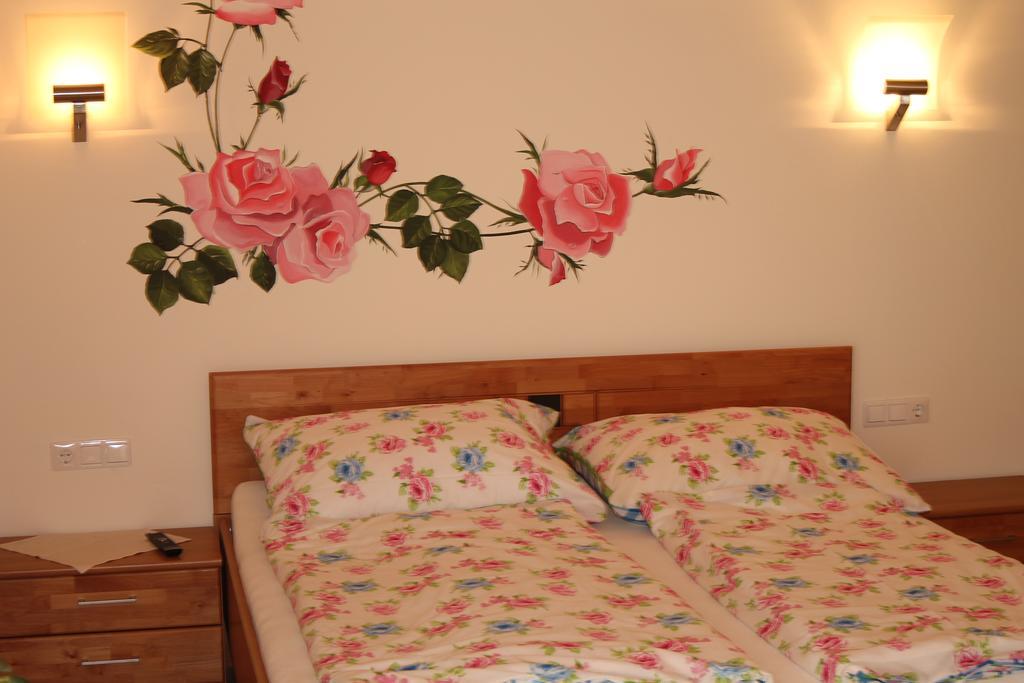 Bed and Breakfast Gastehaus Zur Schonen Aussicht Spitz an der Donau Номер фото