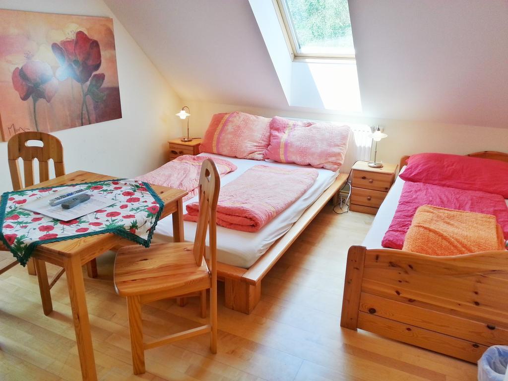 Bed and Breakfast Gastehaus Zur Schonen Aussicht Spitz an der Donau Номер фото